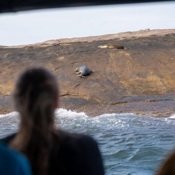 Esperance Island Cruises-3