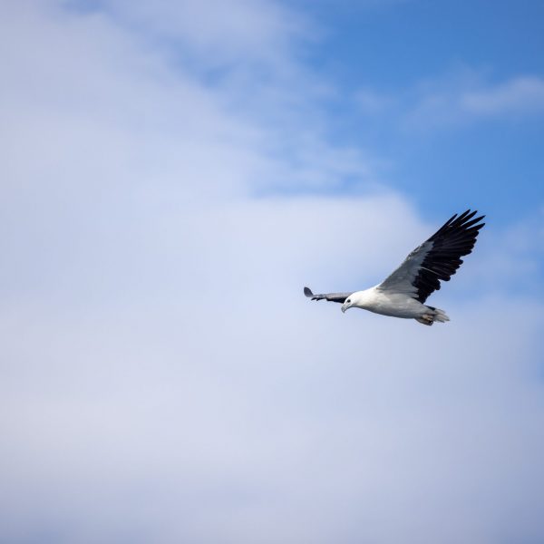 Esperance Island Cruises