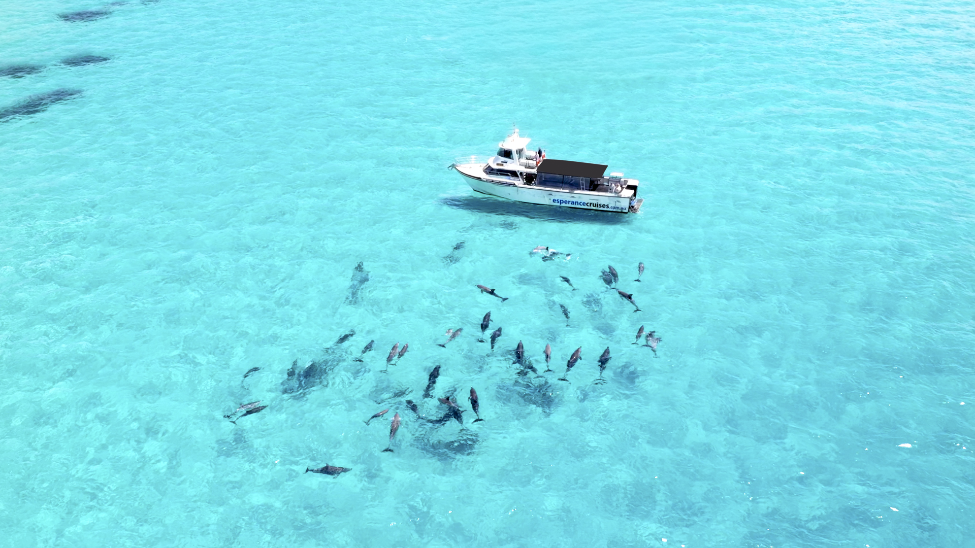 Experience wildlife up close like never before!
